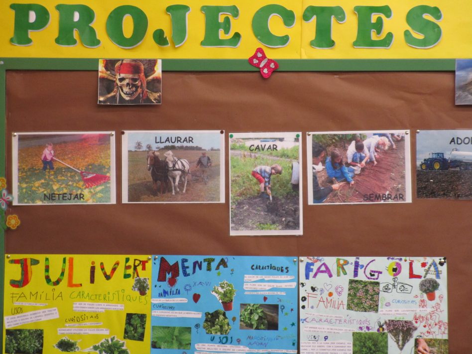 Exposicions del projecte “L’hort a l’aula” .. (1r)