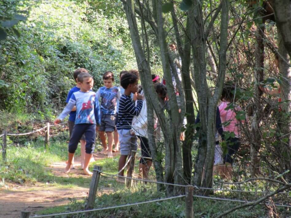 Sortida a la “Selva de l’Aventura!” 2n a 6è